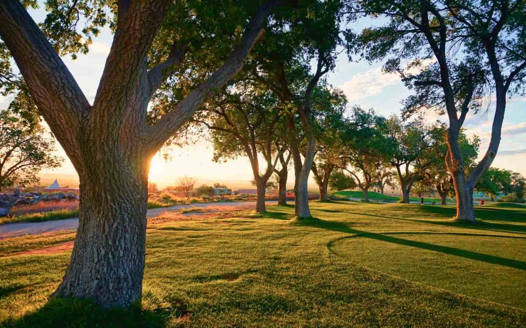 Thérapie comme solution