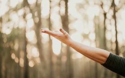 La nature comme inspiration